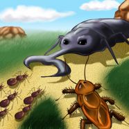 Bug War Bug War